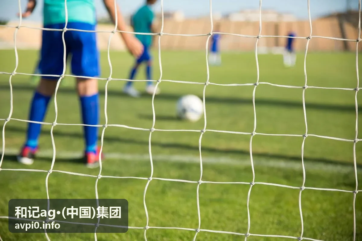 和记ag·(中国)集团往期直播一